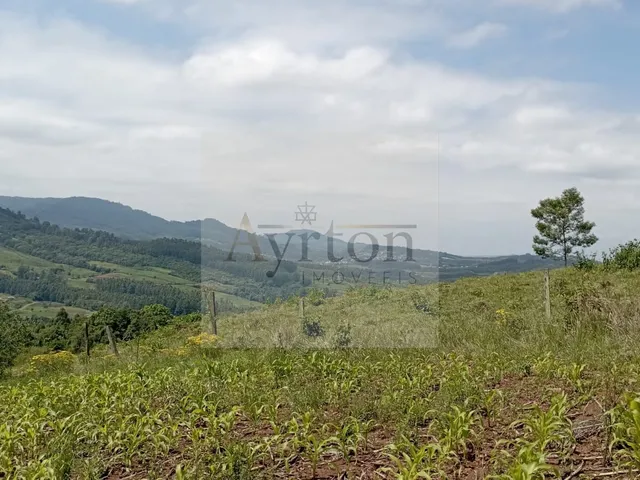 Imagem 2: Área à venda no bairro Centro - Linha Nova/RS