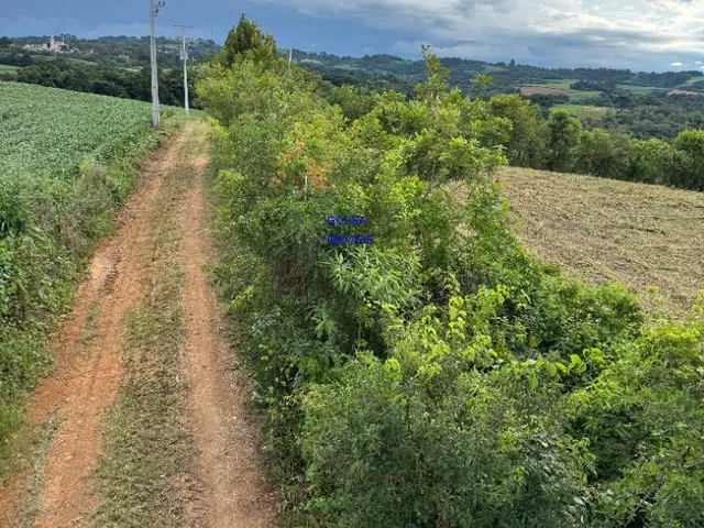Imagem 3: CHACÁRA 5.800M² ESCRITURADA E REGISTRADA - A 500MT DO ASFALTO E DO COMÉRCIO, ONIBUS