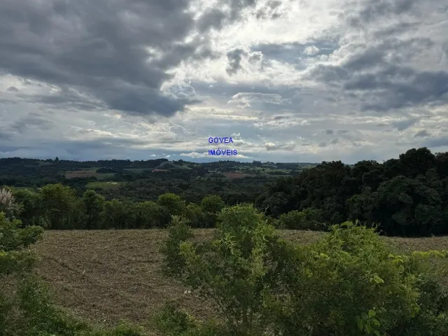 Imagem 2: CHACÁRA 5.800M² ESCRITURADA E REGISTRADA - A 500MT DO ASFALTO E DO COMÉRCIO, ONIBUS