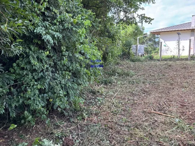 Imagem 5: CHACÁRA 5.800M² ESCRITURADA E REGISTRADA - A 500MT DO ASFALTO E DO COMÉRCIO, ONIBUS