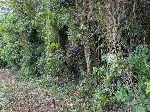 Imagem 8: CHACÁRA 5.800M² ESCRITURADA E REGISTRADA - A 500MT DO ASFALTO E DO COMÉRCIO, ONIBUS