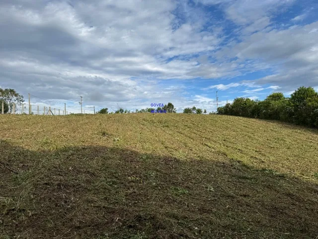 Imagem 6: CHACÁRA 5.800M² ESCRITURADA E REGISTRADA - A 500MT DO ASFALTO E DO COMÉRCIO, ONIBUS