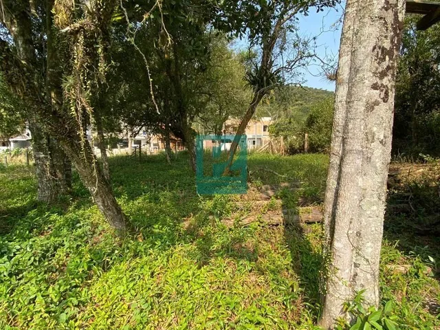 Imagem 3: Terreno em Região Alta e Pronto para Construir em Bombinhas - SC !!!