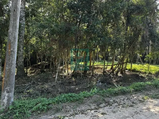 Imagem 3: Terreno Amplo Próximo A Praia De Mariscal Em Bombinhas - SC!!!