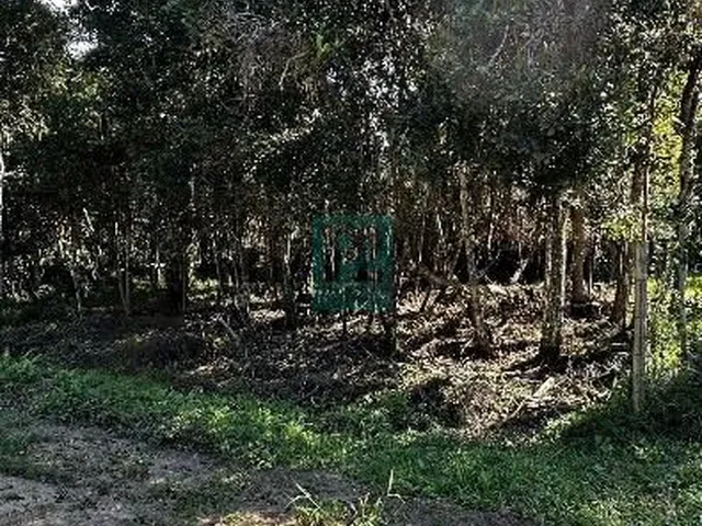 Imagem 2: Terreno Amplo Próximo A Praia De Mariscal Em Bombinhas - SC!!!