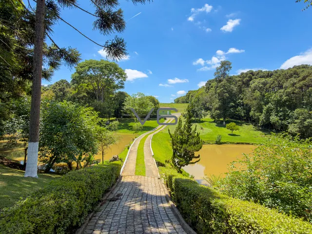 Imagem 16: Chácara com 156.000 m² de terreno em Campo Largo, Paraná