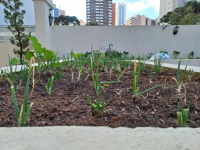 Imagem 8: Imóvel para Aluguel com 68 Metros Quadrados com 3 Quartos em Água Verde - Curitiba - Pr