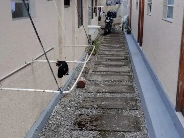 Imagem 6: Alugo Quartos em Pinhais para Rapazes