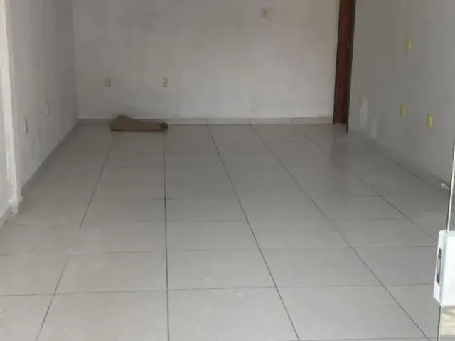 Imagem 2: Sala Comercial Umbara