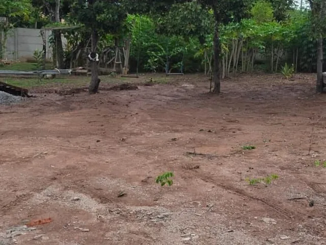 Imagem 15: Chácara dos Bentos (Cachoeirinha