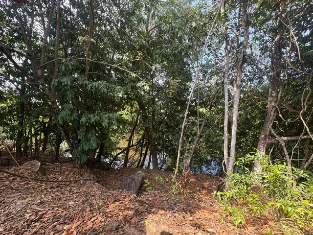 Imagem: Vendo Rancho no Rio Uru (Heitorai