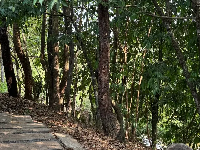 Imagem 6: Vendo Rancho no Rio Uru (Heitorai