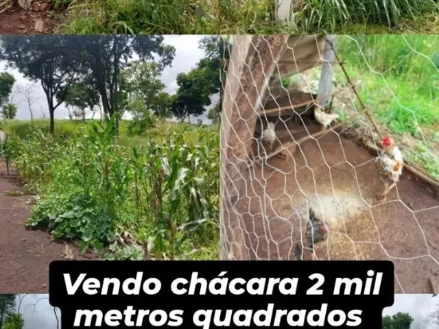 Imagem: Vendo Chácara