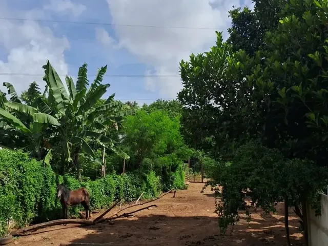 Imagem 9: Imóvel para Aluguel Possui 340 Metros Quadrados com 3 Quartos em Vila Irany - Goiânia