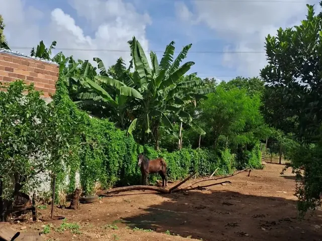 Imagem 13: Imóvel para Aluguel Possui 340 Metros Quadrados com 3 Quartos em Vila Irany - Goiânia