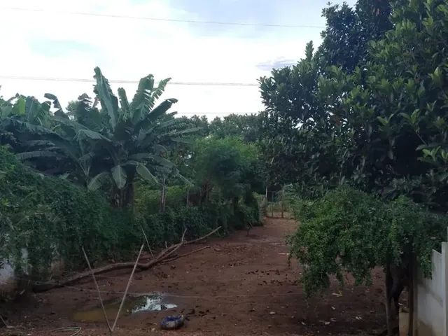 Imagem 15: Imóvel para Aluguel Possui 340 Metros Quadrados com 3 Quartos em Vila Irany - Goiânia