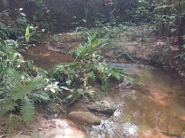 Imagem 2: Chácara de 4.500Mt em Cristianopolis com Córrego!