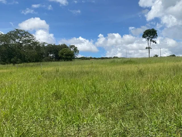 Imagem 2: Vende-Se Chácara em Piracanjuba