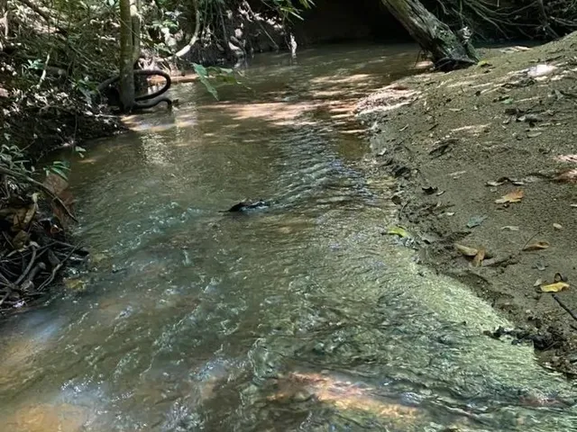 Imagem 3: Vende-Se Chácara em Piracanjuba