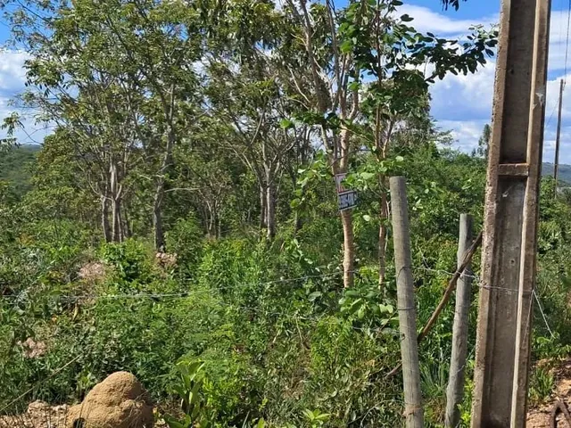 Imagem 4: Oportunidade Lote no Corumbá 3