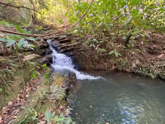 Imagem: Chácara de 20Mil Mt Cercada e com Córrego