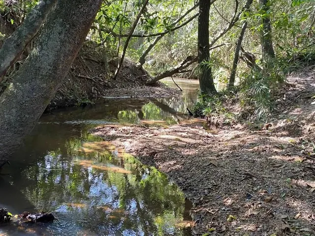 Imagem: Chácara de 20Mil Mt em Maripotaba Próximo