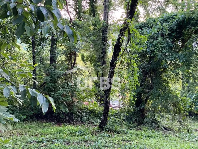 Imagem 15: Lote À Venda no Aldeia do Vale