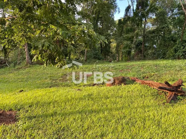 Imagem 13: Lote À Venda no Aldeia do Vale