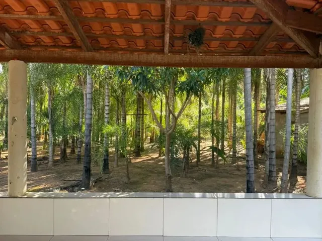 Imagem 5: Vendo Chácara em Palminópolis - Go