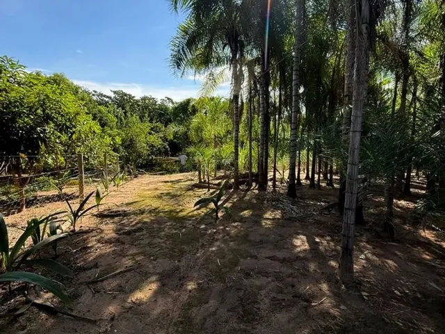 Imagem 8: Vendo Chácara em Palminópolis - Go