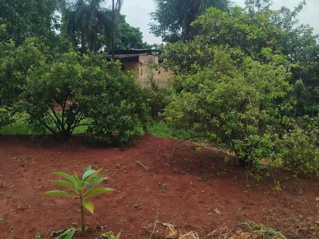 Imagem 5: Vendo Área Comercial 5,685M2 Goiânia