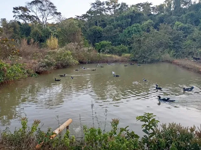 Imagem: Chácara em Bela Vista de Goiás