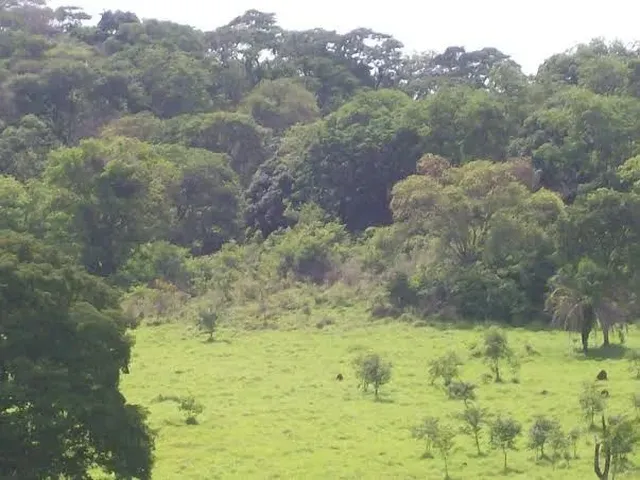 Imagem 15: 9 Alqueires Próximo Aldeia do Vale