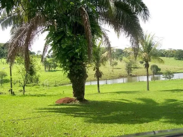 Imagem 14: 9 Alqueires Próximo Aldeia do Vale