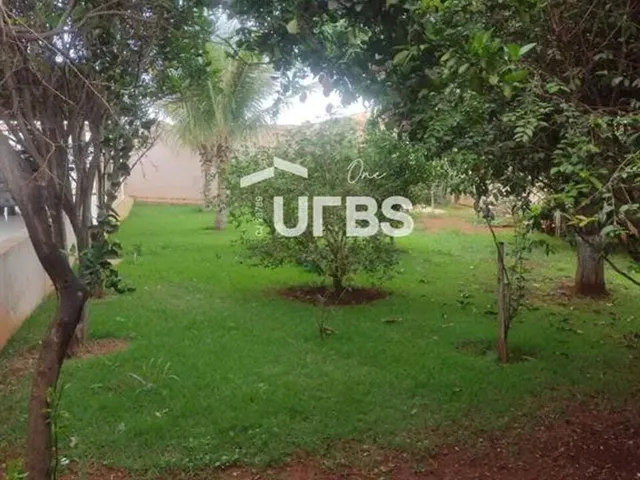 Imagem 11: 0 - Casa 3 Quartos, Sendo 2 Suítes