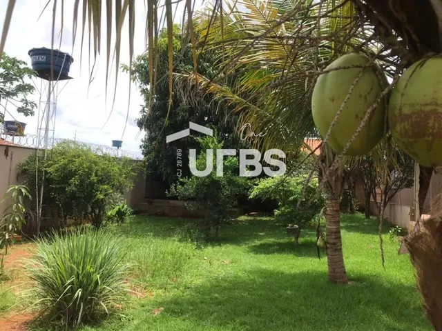 Imagem 8: 0 - Casa 3 Quartos, Sendo 2 Suítes