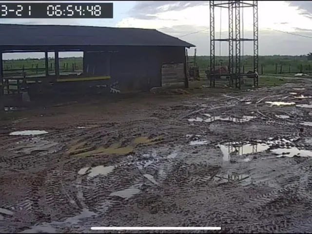 Imagem 3: Fazenda de 303 Hectare Proximo a Salinopolis