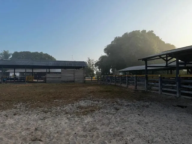 Imagem 4: Fazenda de 303 Hectare Proximo a Salinopolis