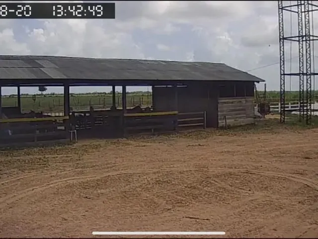 Imagem 13: Fazenda de 303 Hectare Proximo a Salinopolis
