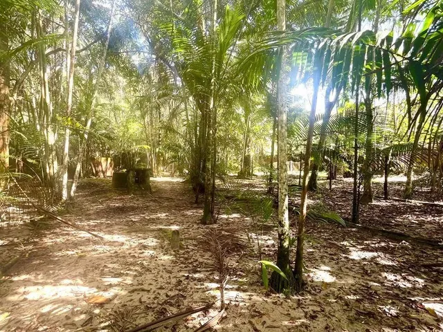 Imagem 3: Descubra o Refugio Perfeito de Tranquilidade e Natureza!