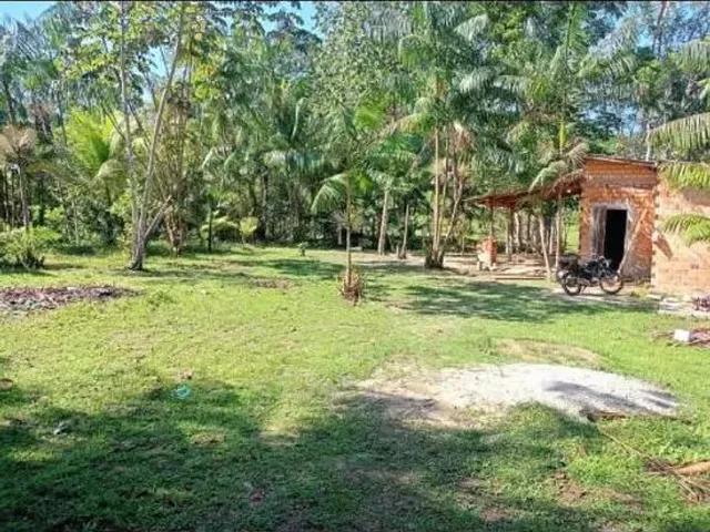 Imagem: Sítio em Marituba