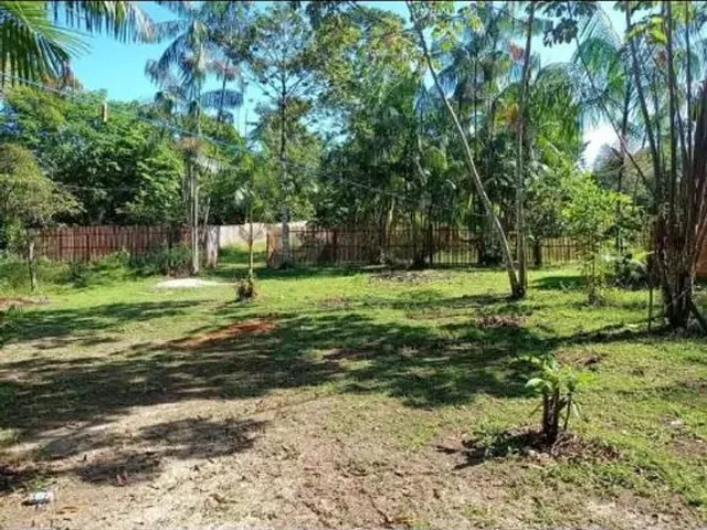 Imagem 3: Sítio em Marituba