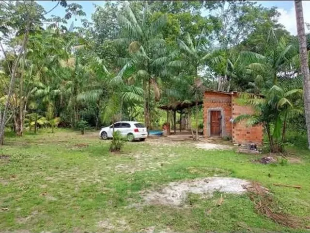 Imagem 5: Sítio em Marituba
