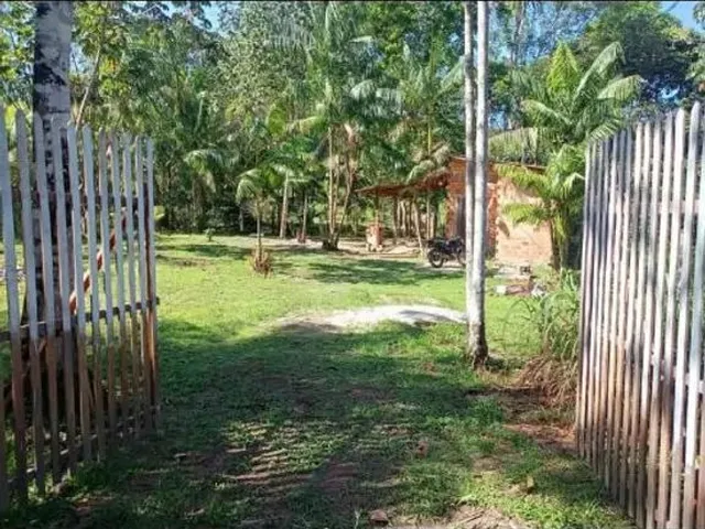 Imagem 6: Sítio em Marituba