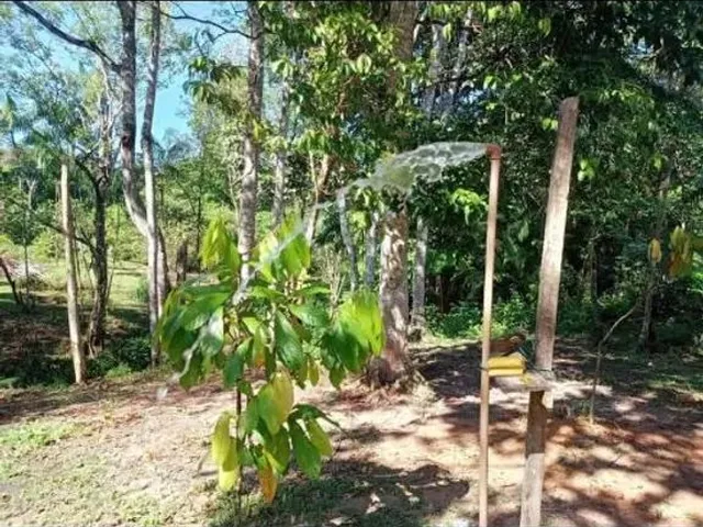 Imagem 7: Sítio em Marituba