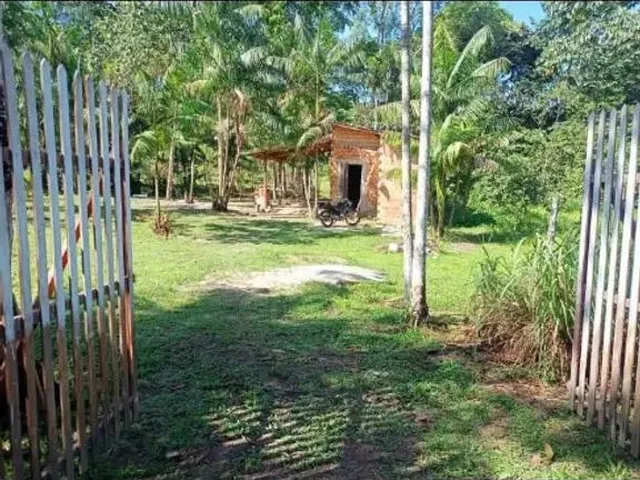 Imagem 8: Sítio em Marituba