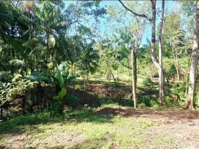 Imagem 9: Sítio em Marituba