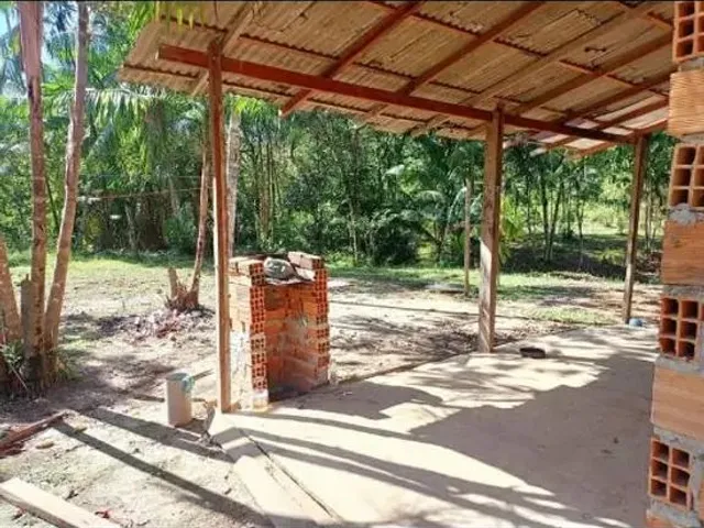 Imagem 14: Sítio em Marituba