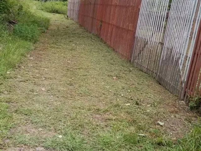 Imagem 15: Sítio em Marituba