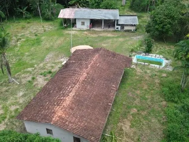 Imagem: 25 Hectares Fazendola Pronta Açaizal,Pimental